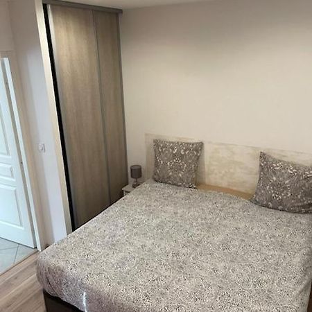 Appartement Oasis Proche De Lyon Groupama Lcdl Meyzieu Buitenkant foto
