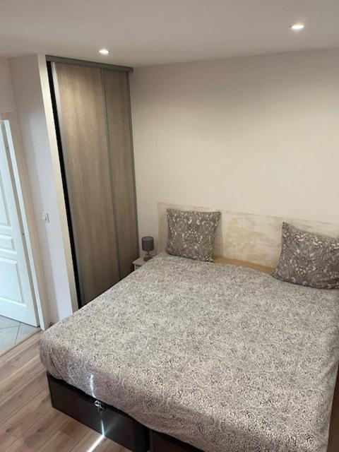 Appartement Oasis Proche De Lyon Groupama Lcdl Meyzieu Buitenkant foto