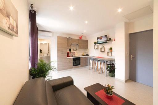 Appartement Oasis Proche De Lyon Groupama Lcdl Meyzieu Buitenkant foto